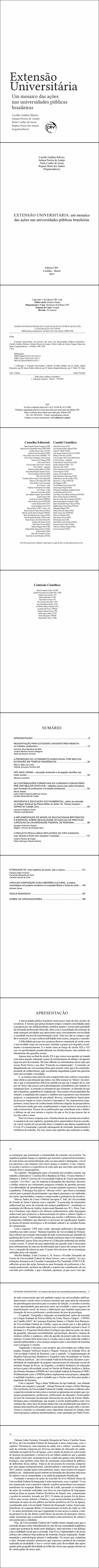 EXTENSÃO UNIVERSITÁRIA <BR> um mosaico das ações nas universidades públicas brasileiras